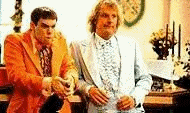 no lloyd! watch out fo the owls!